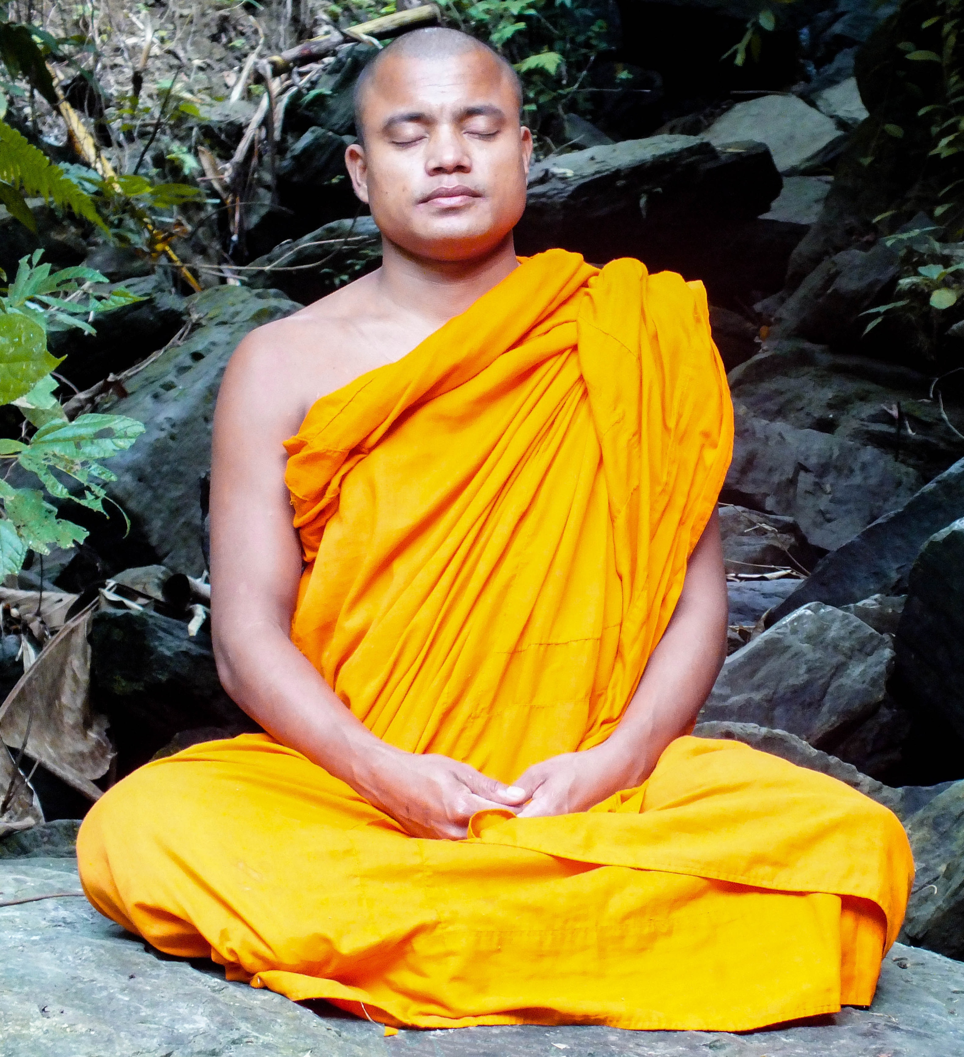 Dutanga Bhante Ven. Saranangkar Thera